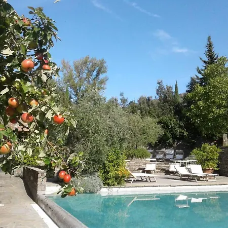 Fattoria Casamora - Residenze Villa Pian di Scò